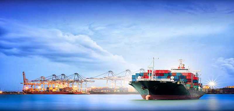 Imagen de la actividad